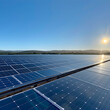 Impressive Solar Panel Farm Glinting Under the Clear Blue Sky