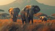 elephants roaming the African savannah