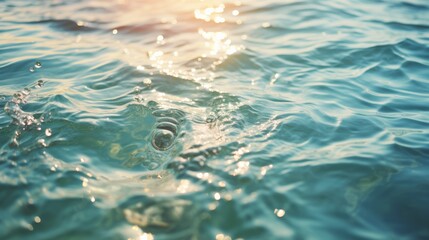 photograph of Light reflects on the surface of the sea, sparkling turquoise, with waves gently crashing on the shore. 