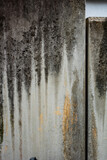 Fototapeta Las - Feuchte und verschmutzte Betonwand