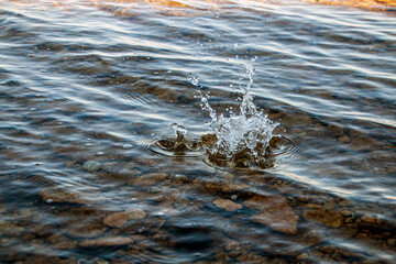 Wall Mural - Stones fall into clean transparent water with splashes