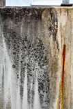 Fototapeta Desenie - Feuchte und verschmutzte Betonwand