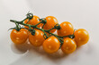 Yellow sweet tomato on the branch