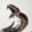 Close-Up of an Angry Snake With Open Mouth