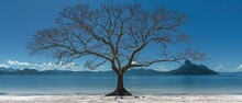   A Solitary Tree, Devoid Of Leaves, Atop A Sandy Beach Behind It Lies A Vast Expanse Of Water, With Towering Mountains Forming A Breathtaking Backdrop