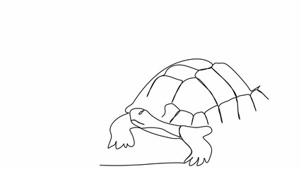 Wall Mural - Turtle. One line drawing animation. Video clip with alpha channel.