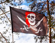 Pirate flag with the image of skull in red bandana and sabers smiles under the gusts of wind.