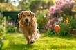 Exuberant golden retriever running after a bouncing ball in a sunlit garden full of flowers, encapsulating the joy of playtime