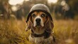 A determined beagle wearing a World War 2 helmet, dodging invisible foes with floppy ears flying, embodying a lighthearted soldier's spirit.