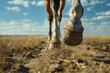 Close up of a horse's foot in the dirt. Suitable for equestrian or farm themes