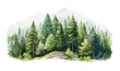 Watercolor Forest tree illustration. Mountain landscape. Woodland pine trees. Green Forest.