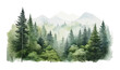 © Viacheslav - Watercolor Forest tree illustration. Mountain landscape. Woodland pine trees. Green Forest.