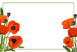 Corner floral arrangements with red poppy flowers and seeds and green frame isolated on white or transparent background