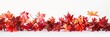 A sweeping display of vibrant red maple autumn leaves against a bright white background, panoramic banner.