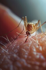 Poster - Close up of a mosquito on human skin. Suitable for medical or pest control concepts