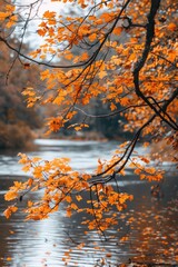 Wall Mural - Tree with orange leaves overlooking a body of water. Ideal for nature and autumn-themed designs