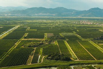 Valley in Croatia with intensive agriculture