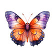 Orange and lavender butterfly with spotted wings, white background