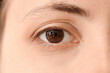 Young woman with beautiful brown eyes, closeup