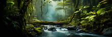 Rainforest Beauty. River Flow In The Green Wilderness