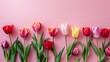 A floral arrangement showcasing vibrant, colorful tulips in full bloom, set against a soft pastel pink background. Viewed from the top