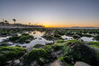 Morning sunshine reflecting in the kelp covered slippery rocks of the ocean tide pools in Ventura, California