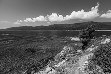 Cupabia Beach Black And White Photo. Coastal Landscape Of Corsica