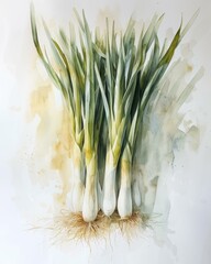 Wall Mural - Watercolor painting of onions. Generative AI.