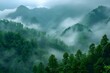 Preserving Forest Scenery: Trees Shrouded in Fog and Conservation Efforts. Concept Forest Preservation, Foggy Landscapes, Tree Conservation, Environmental Impact