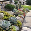 Succulent landscape design, beautiful cacti garden decor, green plants arrangement