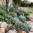 Succulent landscape design, beautiful cacti garden decor, green plants arrangement