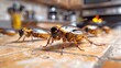 Cockroaches on a kitchen floor. Household pests. Concept of home cleanliness, pest infestation, and hygiene maintenance.