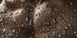 Close up of water droplets on a horse's skin, suitable for nature and animal themes