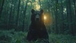   A large black bear sits in the forest, with the sun shining through its eyes, illuminating its head
