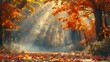 Beautiful autumnal park. Beautiful autumn landscape, trees and leaves, foggy forest in sunny light.