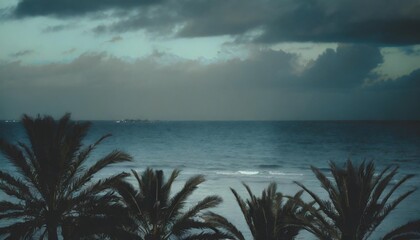 Poster - caribbean sea and palms