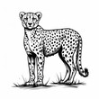 A black and white graphic illustration depicting the stance and details of a cheetah.