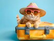 Cat ready for travel concept 