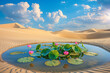 Small pond with lotus flowers in the middle of sand desert, fantasy landscape.