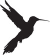 Vector silhouette of a humming bird flying