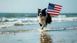 Generative AI : Patriotic border collie dog running along the beach carrying the American flag.