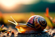 Macro photo of a snail, the sun shines from the back, the snail crawls on the ground, photography material