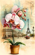 Orchid Elegance with vintage Parisian landmarks and cursive text background on antique paper