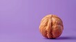 Solitary walnut with textured shell stands against solid purple background, providing simple yet striking visual composition