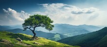 Tree Standing On A Sloping Hill With Majestic Mountains In The Far Background