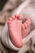 © natrocfort - Little newborn baby feet portrait photography