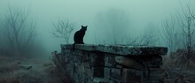 A Black Cat Sitting On A Stone Wall In The Fog.
