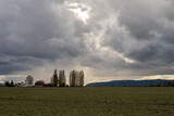 Fototapeta Pomosty - Dramatic sky with early spring storm clouds and rain just before sunset, above and empty farm field, as a nature background

