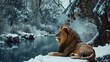 lion in the snow