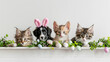 A festive banner for Easter. Puppies and kittens with bunny ears, rabbit costume.